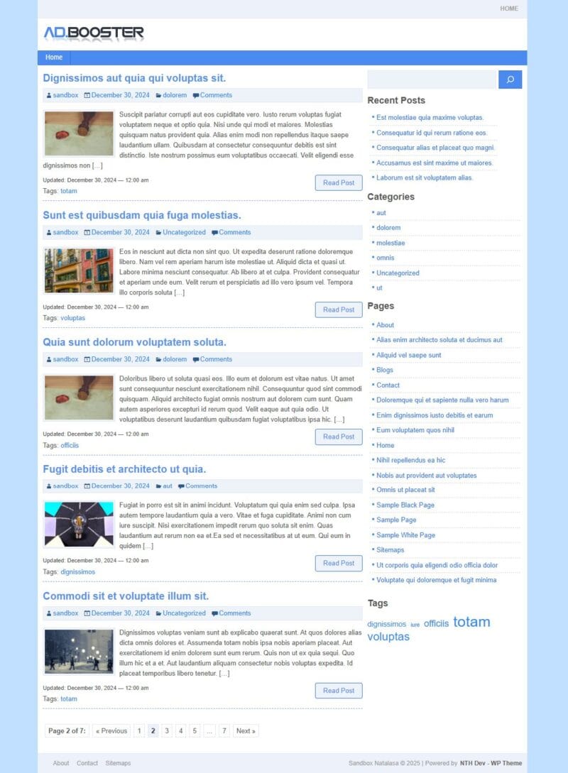AdBooster Theme For AdSense